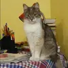 Отзыв от Вера Афанасьева